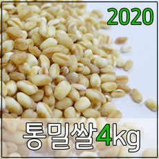 2093ac07a7eaec3ddc8899b9084a95c3f3f5922227410bdc5158ca17355a.jpg