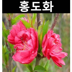 74d86117855490421a27296db87929aed7bee86ea6e0e537093cde6149bc.jpg