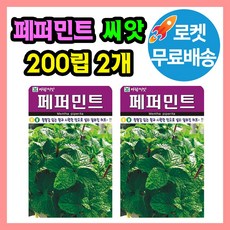 허브 페퍼민트 씨앗 (합 400립) 허브씨 종자 브 페퍼민트 씨앗 (합 400립) 허브씨 종자