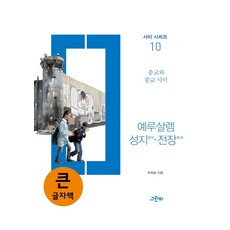 예루살렘 성지 전장(큰글자책)(사이 시리즈 10):종교와 종교 사이, 그린비