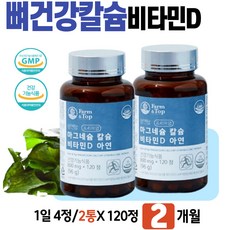 gmp기술인
