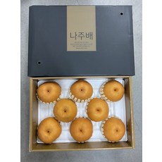 나주배스테비아급