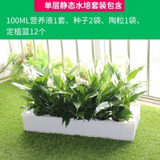 가정용스마트팜 집에서상추키우기 가정용 수경재배기 led 식물등 실내채소재배기 텃밭세트, 단층 정적 수배(펌프 미포함유)개