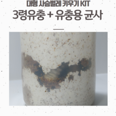 350ded60c475a1c0101d2292c8955c070c1838dc5a1a7b06cf8e4c2ec689.png