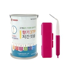 위덴투웨이치간칫솔