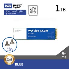 웨스턴디지털 WD BLUE SSD SA510 M.2 1TB(SATA3/TLC/5년), 1TB
