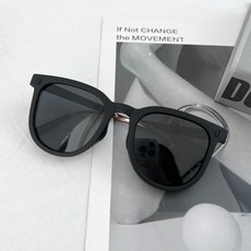 접이식선글라스