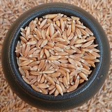 파로 5kg FARRO 미국산 엠머 밀 고대곡물 2024년산, 1개