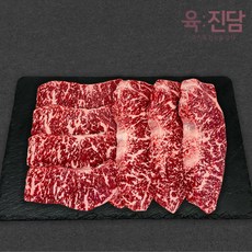 [당일발송] 육진담 1++등급 한우 채끝 (냉장), 1개, 200g