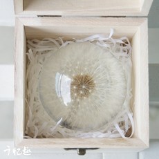 민들레 투명 유리 문진 오브제 단델리온 야간조명, 7CM 민들레 (나무 상자 라피아 가방)
