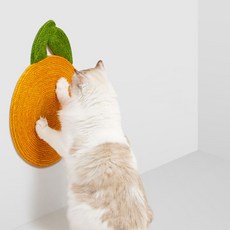 페트병물로켓발사대