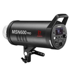 반영구 속눈썹 유튜브 회의 조명 골든베 MSN600프로 고속촬영등 세트장 플래시 8000, 01 MSN600PRO 싱글 램프 어셈블리