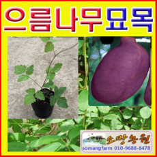64bb321650d07db986ee0b6e90db5ceb3b74c8df580a5b10376d5cea6b58.png