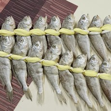 법성포 영광굴비 약55~60g 20미
