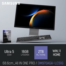 삼성 올인원 PRO DM970AGA-LC51G, WIN11 Home, 2TB, 16GB