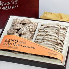 도토로 참나무박차고 백화고 2종세트, 1개