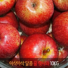 [더야채] 경남 거창 아삭 달콤한 꿀 햇부사 사과 41~50과 / 10KG