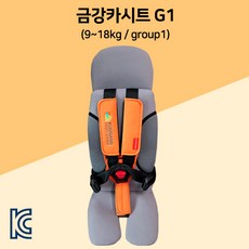안전벨트카시트