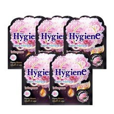 하이젠 Hygiene 옷장용 차량용 방향제 5팩 1세트