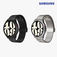 삼성 정품 갤럭시 워치6 44mm 밀레니즈 스트랩 GP-TYR940SAA, 실버