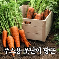 유기농당근20kg