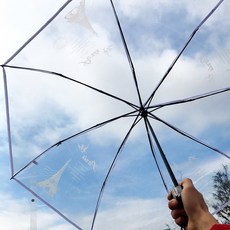투명 방풍 우산 전자동 접이식 비 여성용 여자 블랙 파라소