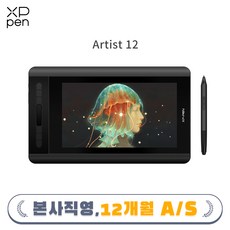 XP-PEN 액정타블렛 ARTIST 12 (아티스트12) 블랙, Artist12