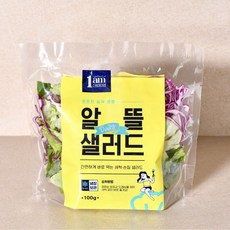 원에이엠 1am 알뜰 데일리 샐러드 옐로우 100g x 5팩 / 야채샐러드, 단일옵션