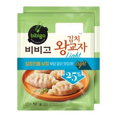비비고라이트