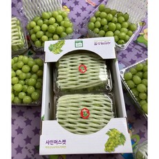 영천샤인머스켓