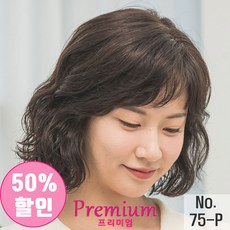 항암가발 인모100% 전체수제 전체가발 시니어가발 no75P, 브라운, 1개 - 누비다가발