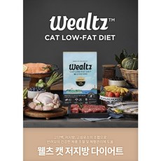 웰츠캣저지방