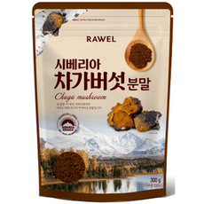 로엘 시베리아 차가버섯 분말 300g 1봉, 1개
