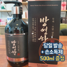 지엘바이오 방영학 샴푸 500ml+손소독제 사은품 탈모 방지 얇은 모발 천연 향기 좋은 실리콘 없는 초등학생 온가족 강화 샴푸 추천, 방영학 샴푸 500ml+손소독제 500ml, 500ml