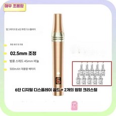 파웰 mts기계 가정용 모공 오토 펜 셀프 관리, 상세페이지 참고, 금색 6단계+2개 바늘