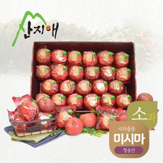 [산지애] 씻어나온 어린이 꿀사과 5kg 1box / 청송산 미시마 당도선별, 상세 설명 참조