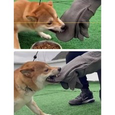 맹견훈련장갑 보호대 안전 조련용 맹수 토시 훈련소, A, 1개