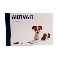 액티베이트소형견