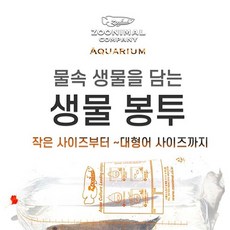 대형어 물고기봉지 생물봉투 10장 (특대), 1개