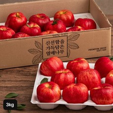 열매나무 못난이 홍로사과 3kg(1박스), 1개 - 나무사과박스