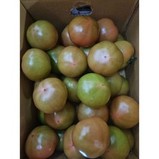 [과애모]완숙 토마토 10kg, 10kg(소과, 4-5번), 1개