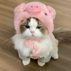 (샵타스틱) 강아지 고양이 귀여운 돼지오리 모자 등 15종 애완동물 사진촬영용 털모자, 1개, 햄버거 S 사이즈
