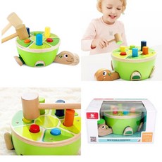 거북이망치놀이