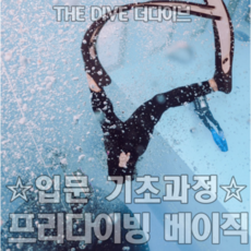 프리다이빙 강습 초급 자격증 라이센스 베이직 오산 동탄