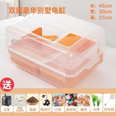 레이저백거북이