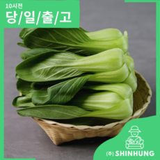 국산 청경채 [신흥유통], 1개, 1kg