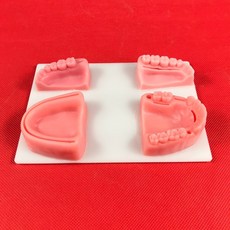 실리콘입술모형