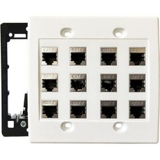 Cat7 월 플레이트 - RJ45 Cat 7 이더넷 월 콘센트 암수 고양이 7 월 플레이트 월 콘센트의 Cat 7 이더넷 플레이트 네트워크 콘센트 설정용 - 흰색(12포트, 12 Port Cat 7