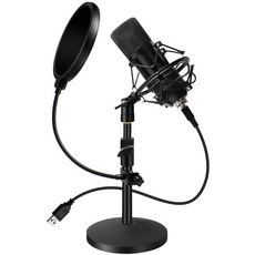 이어마이크장난감