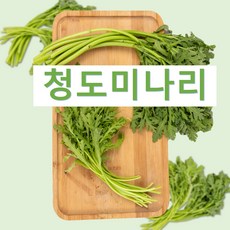 청도미나리 향긋한 미나리삼겹살 미나리